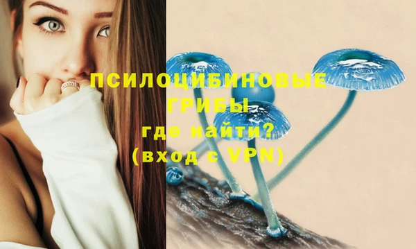 герыч Медногорск
