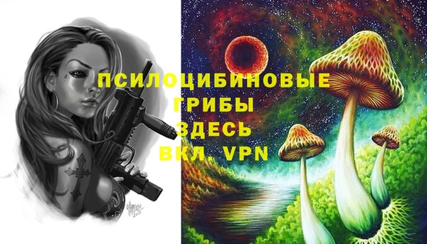 герыч Медногорск